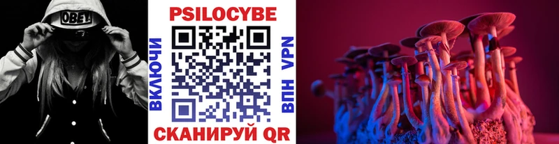 Галлюциногенные грибы ЛСД  купить наркоту  Моршанск 