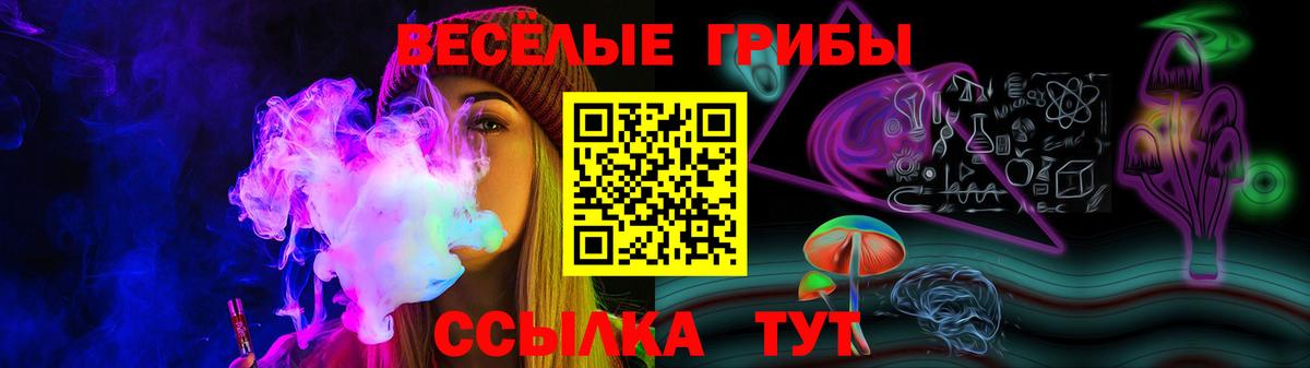 Псилоцибиновые грибы GOLDEN TEACHER Моршанск