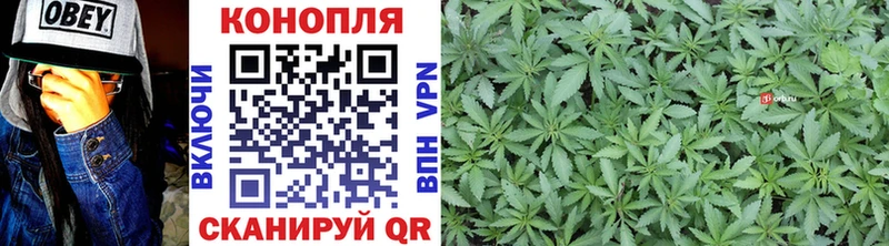 Марихуана OG Kush  Моршанск 