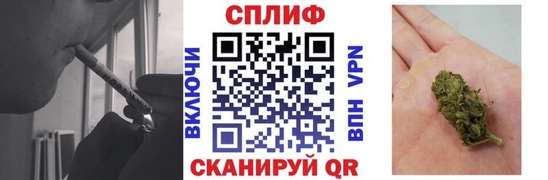 Каннабис сатива Моршанск