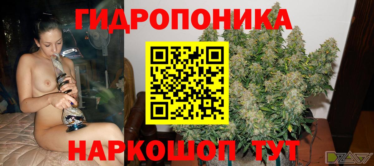 Марихуана план  Каннабис марихуана  Вход с VPN  Моршанск  Бошки Шишки конопля  МАРИХУАНА Bruce Banner 